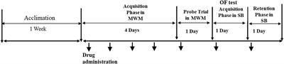 Effects of Buprenorphine on the Memory and Learning Deficit Induced by Methamphetamine Administration in Male Rats